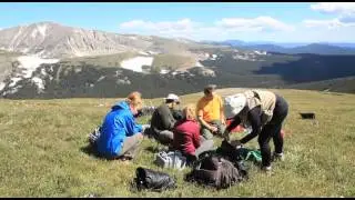 The American Pika: A climate indicator species?