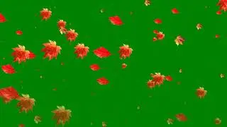 AUTUMN LEAVES GREEN SCREEN VIDEO
