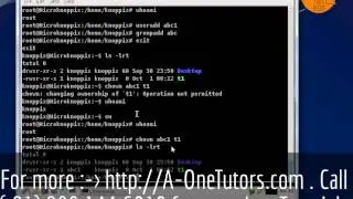 chown Command IN UNIX