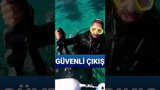 Denge Yeleği ve Ağırlık Kemeri: Dalgıçların Su Yüzeyine Güvenli Dönüşü
