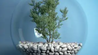 treeball