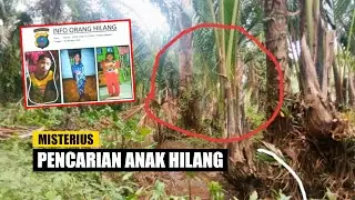 Situasi Terkini Pencarian Bocah Hilang di Langkat