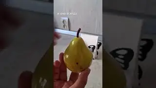 Организация и хранение на кухне