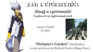 DEX sings in Tirëlat: Maağ u sytrimnałti