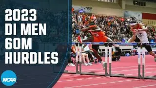 Men's 60m hurdles - 2023 NCAA indoor track and field championships