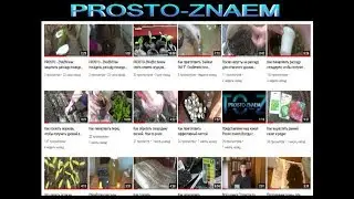 Представляем наш канал Prosto-znaem.Всегда с огурцами.