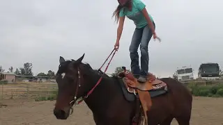 A Girl and Her Horse- movie trailer