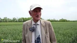 Интервью Гольдварг часть 1