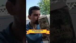 Yerba Mate I Anna Park