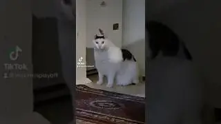 Пацаны! У кого еще такая душнила?)