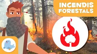 INCENDI FORESTAL 🔥🌲 Què és un incendi forestal? 👨🏻‍🚒 Desastres naturals en 1 minut en català