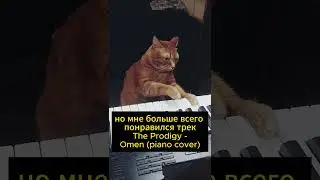 кот играет AC/DC