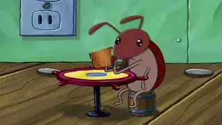 a termite walks into a bar..