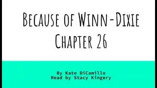 Because of Winn Dixie, Chapter 26