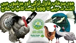 Chicken Feed l Poultry Feed l Cheap Bird Feed l Pheasant Feed l Turkey Feed l Ande Na Dene Ka Ilaj