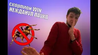 Человек Vs Паук