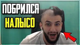 STEEL ПОБРИЛСЯ НАЛЫСО НА СТРИМЕ | ВЫПОЛНИЛ ЖЕЛАНИЕ ОТ ЭВЕЛОНА