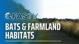 FAS TV Series 4 Ep 6 - Bats and Farmland Habitats