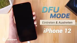 Ohne Wergzeug 丨 iPhone 12/12 Pro/12 Mini den DFU Modus Eintreten & Austreten