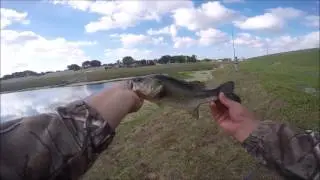 Fishing for Largemouth Bass/Snakehead in South Florida
