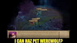 #23 Professor Lupin (Silverstep Grove/Lonely Hunter Quest) Pathfinder Kingmaker Mega Mod Last Azanti