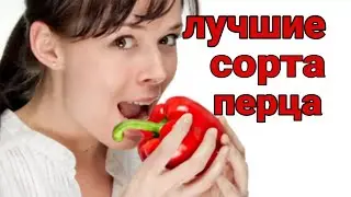 ПЕРЕЦ ОБЗОР СОРТОВ. Лучшие сорта  сладкого перца