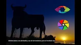 TUTORIAL manejo BASICO en DARKTABLE |con REVELADO | 2018/2019 | 🐞🐌🐛