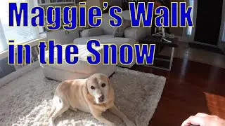 Maggie's Walk in the Snow | GoPro Timewarp Video