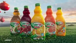 Primor Taam Tov 2024