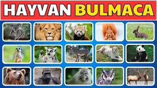 Hayvanları Tahmin Edin 🦁 🐘 : 30 Hayvan | 10 Saniyede Tahmin Edebilir misin? | #hayvanlar