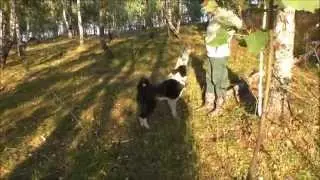 Рою 5 месяцев