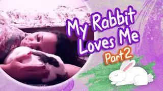 Rabbit Kissing and Cuddling With her Owner