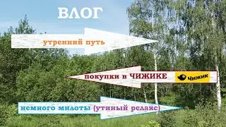 ВЛОГ.Утренний путь. Покупки из ЧИЖИКА .Утиный релакс