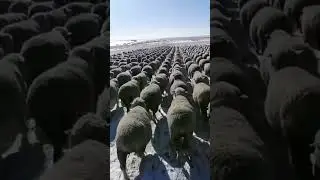 Значение слова стимул