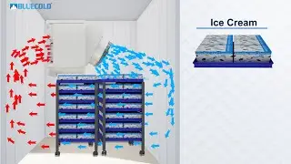 Ice Cream Hardening Chamber | Freon Blast Freezing Unit | Blue Cold Refrigeration Pvt. Ltd.