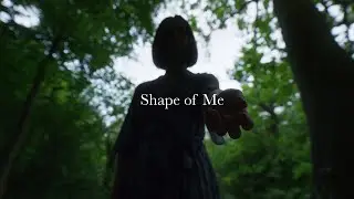 Leitz Prime Lens Test Footage | Shape of Me