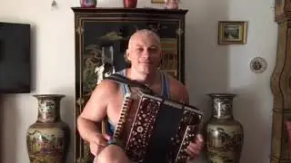 #гармонь