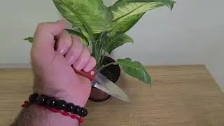 Eu Encontrei um Jeito de Me Livrar das Energias Ruins e Você Pode Fazer o Mesmo!