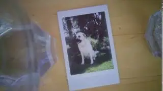 instax mini 8 - developing instax time lapse - August 21, 2016