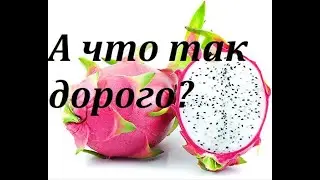 Отзыв на курсы 