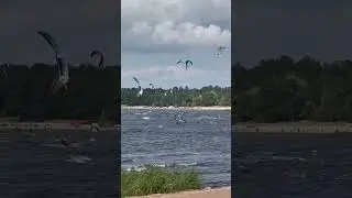 Кайтеры в Сестрорецке