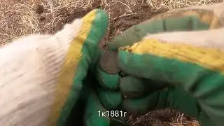 Программа ПАРК на Деус2 по мусорке!!!