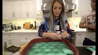 Making My Dog A Bed Out Of Soap