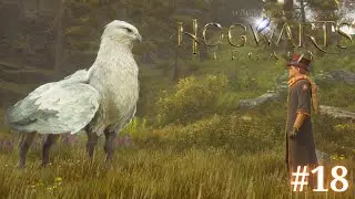 ВОЛШЕБНЫЕ ТВАРИ | Hogwarts Legacy #18