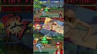 Terry Bogard's WEIRD Link to Dragon Ball!? 