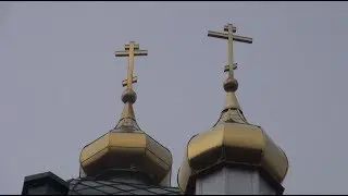 По вере Вашей