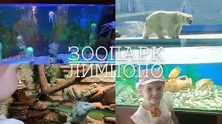 Диана в зоопарке🙉🐢🐊🐗
