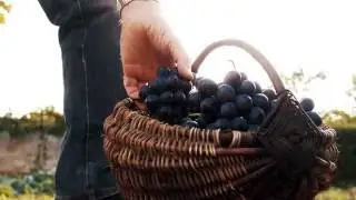 Пребъдвай в Христос, давай изобилен плод! 2016