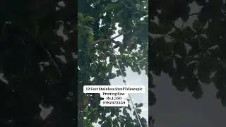 மரக்கிளை வெட்டும் கருவி 9787672239 மேலூர் மதுரை🇮🇳(2)