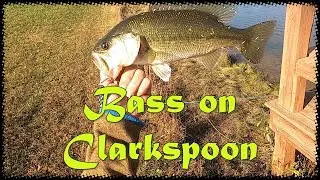 NE Guilford Park (Ponds - Reedy Fork Creek) Largemouth/Bluegill